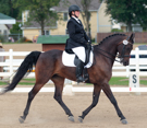 Dressage at Delaware